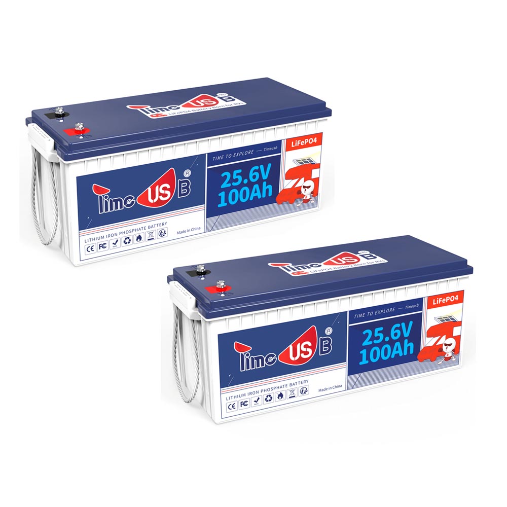 2 Stück Timeusb Lithium Batterie 100Ah 24V LiFePO4