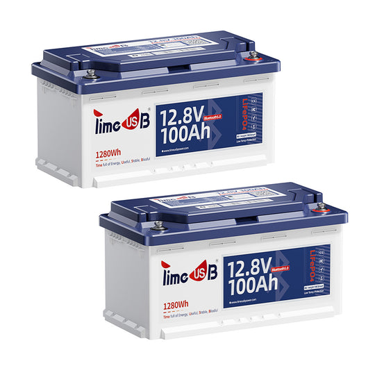 2 Stück Timeusb 100Ah LiFePO4 12V Lithium Batterie