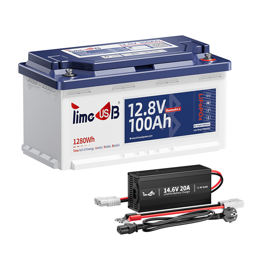Timeusb LiFePO4 12V 100Ah Smart Batterie mit 12V 20A LiFePO4 Batterieladegerät