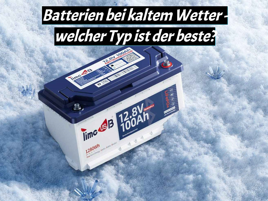 Batterien bei kaltem Wetter - Welcher Typ ist der beste?