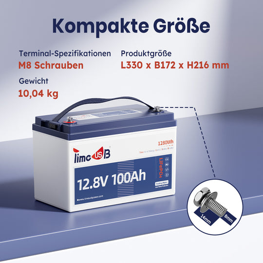 Timeusb Batterie 12V 100Ah LiFePO4, BMS mit Tieftemperaturschutz