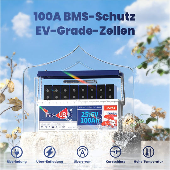 100A BMS Schutz EV Grade Zellen