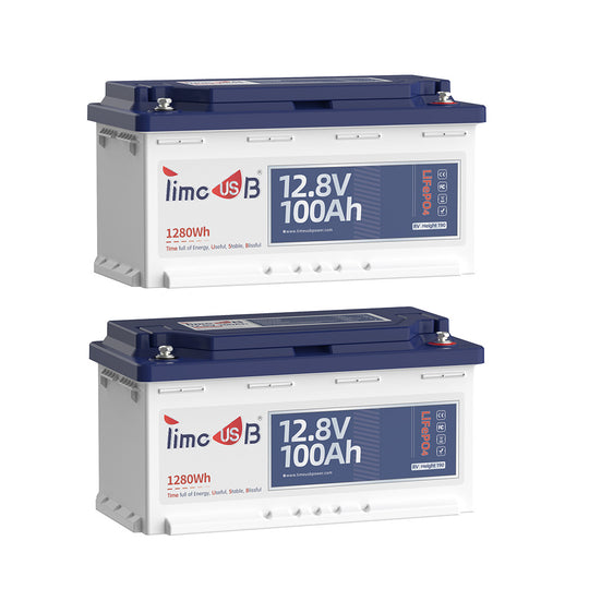2 Stück Timeusb LiFePO4 12V 100Ah H190 Untersitz Batterie