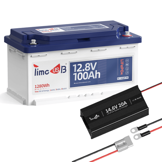 Timeusb LiFePO4 12V 100Ah H190 Untersitz Batterie