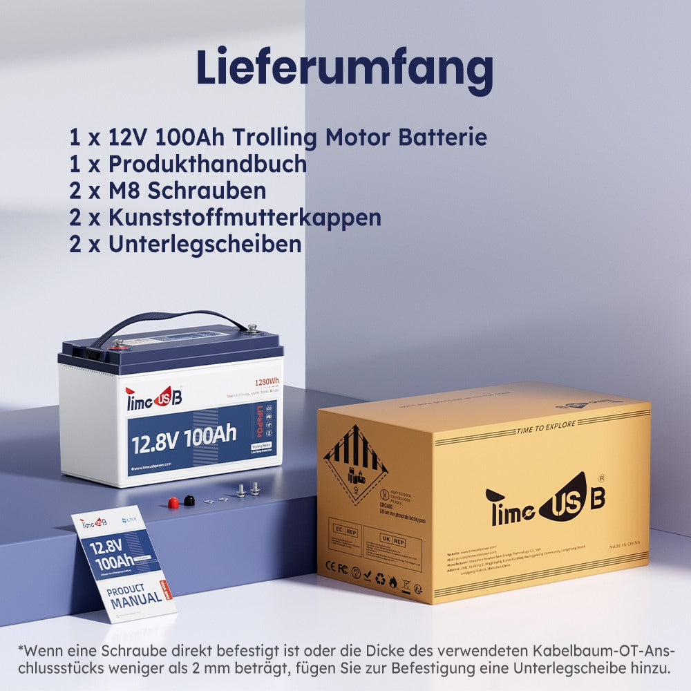 Lieferumfang von Timeusb Batterie 12V 100Ah