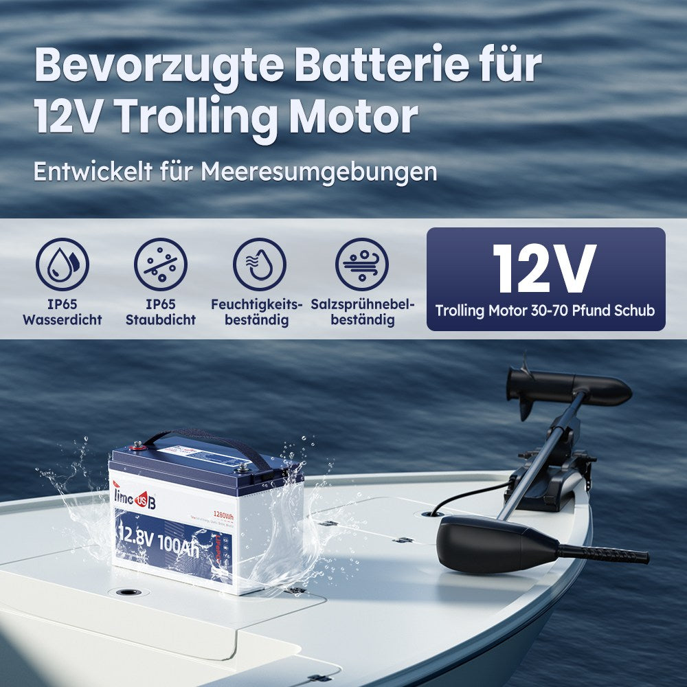 Timesub beste 12V Batterie für Trolling Motor