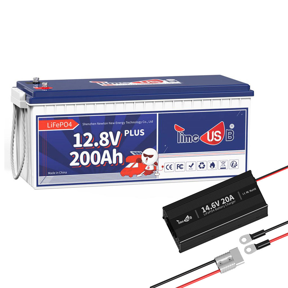 Timeusb LiFePO4 200Ah Plus 12 Volt Batterie mit 20A Ladegerät 12V