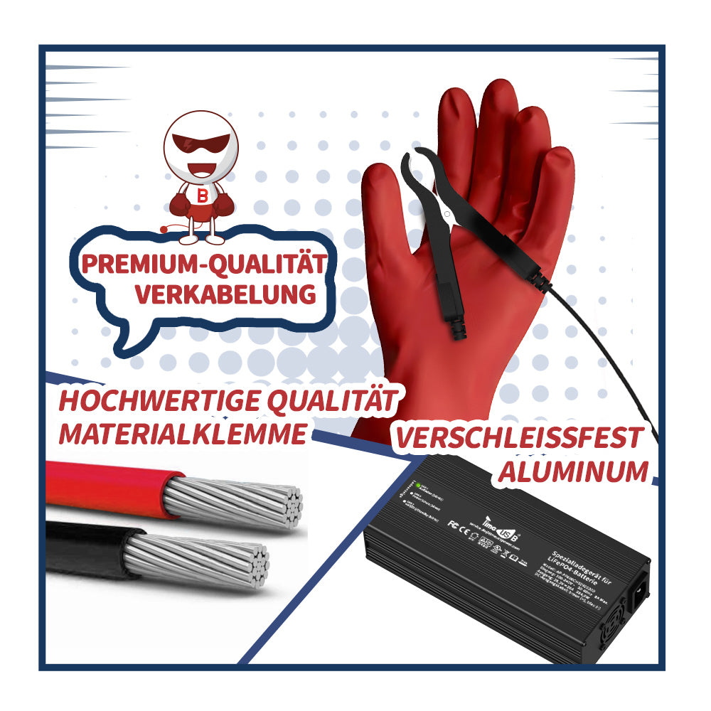 Gebraucht - Wie neu - Timeusb LiFePO4 Ladegerät 29,2V 20A für 24 Volt Akku