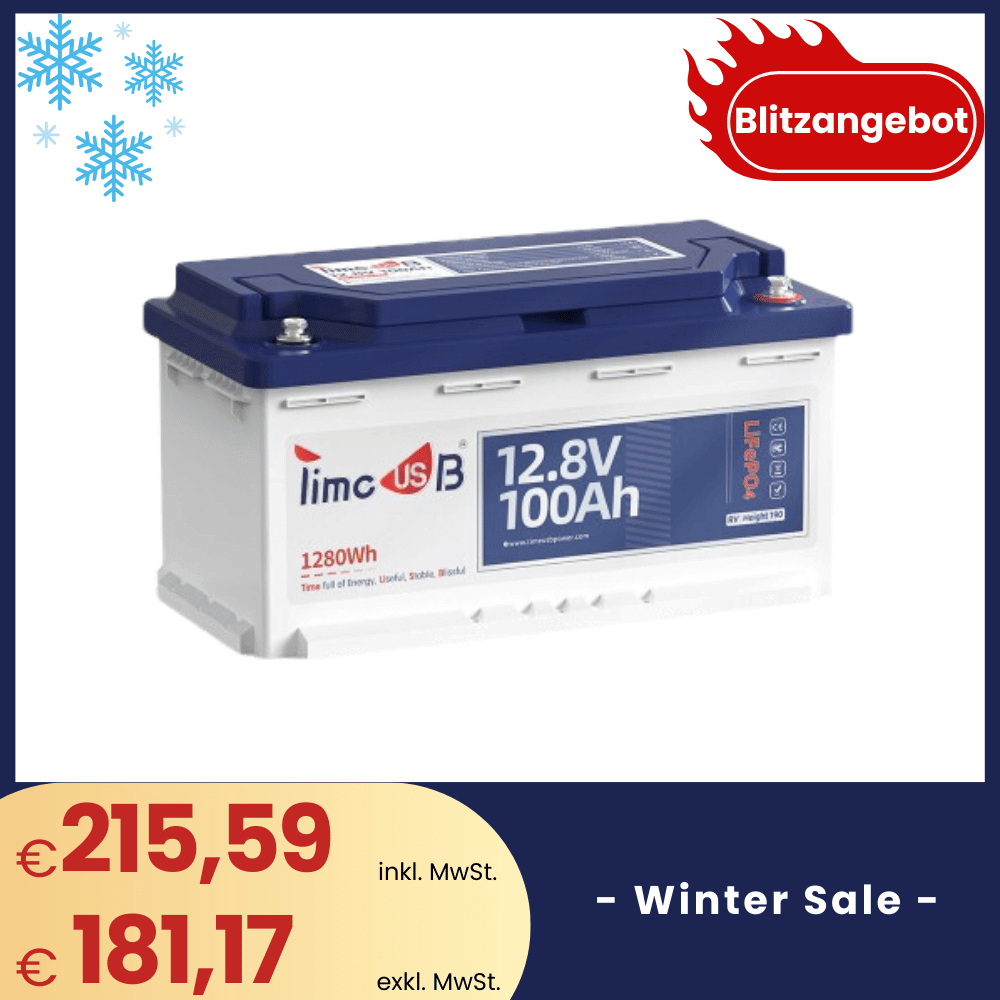 【❄Winter Sale, Tax free】 - Timeusb LiFePO4 12V 100Ah H190 underseat battery