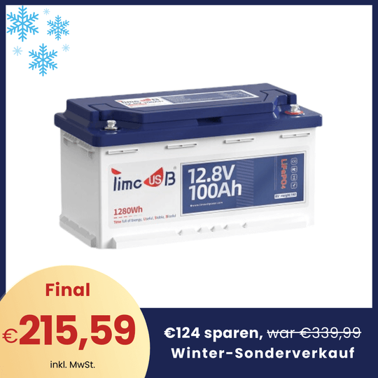 【❄Winter-Sonderverkauf】Timeusb LiFePO4 12V 100Ah H190 Untersitz Batterie