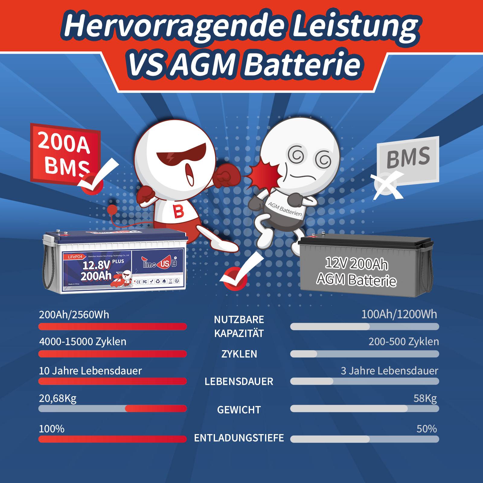 Tax free-Timeusb LiFePO4 200Ah Plus Akku 12V | 2,56 kWh & 200A BMS