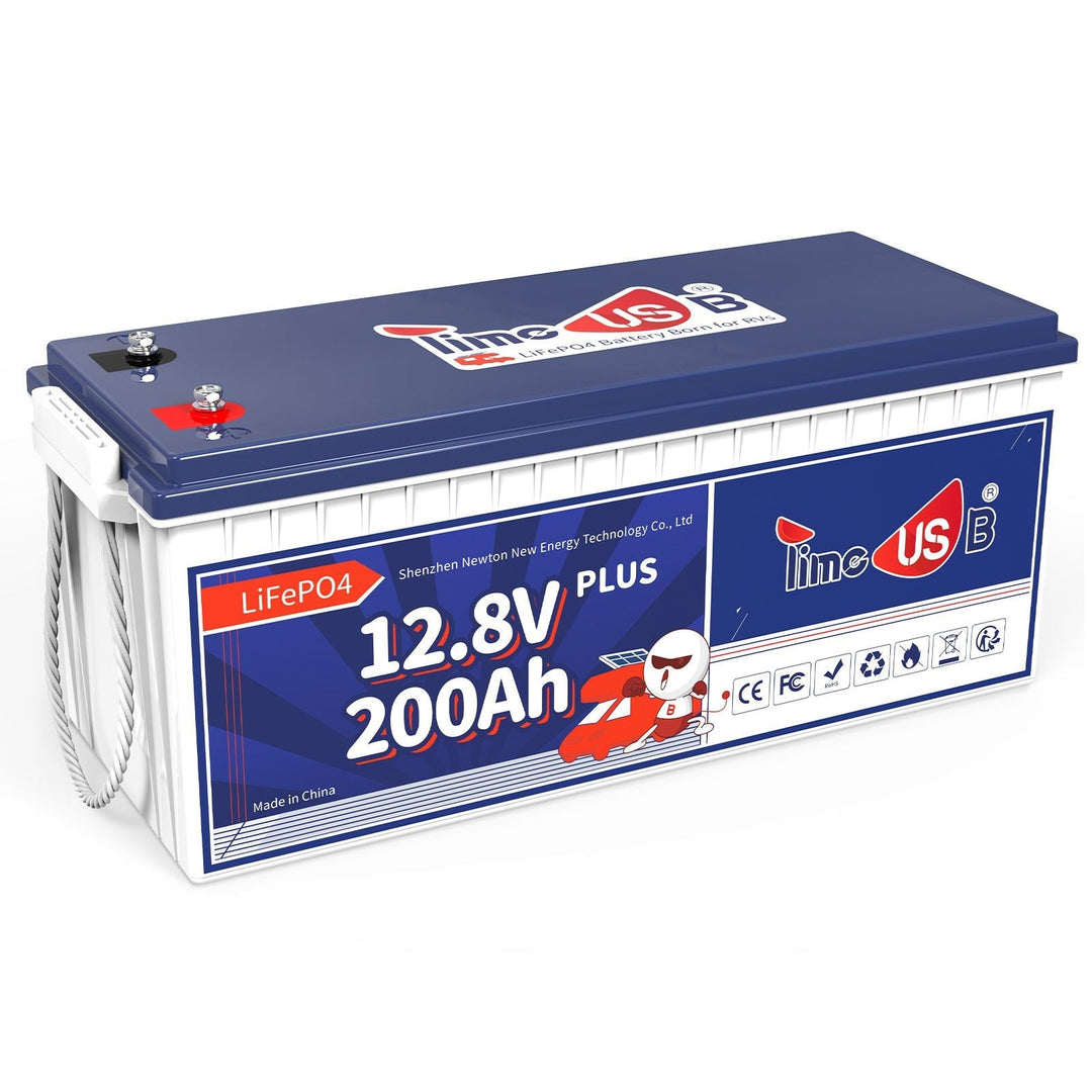 Gebraucht - Sehr gut - Timeusb LiFePO4 200Ah Plus 12 Volt Batterie