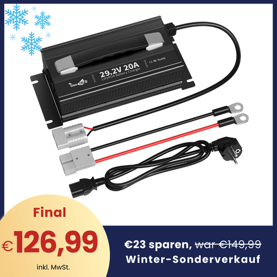 【❄Winter-Sonderverkauf】Timeusb LiFePO4 Ladegerät 29,2V 20A für 24 Volt Akku