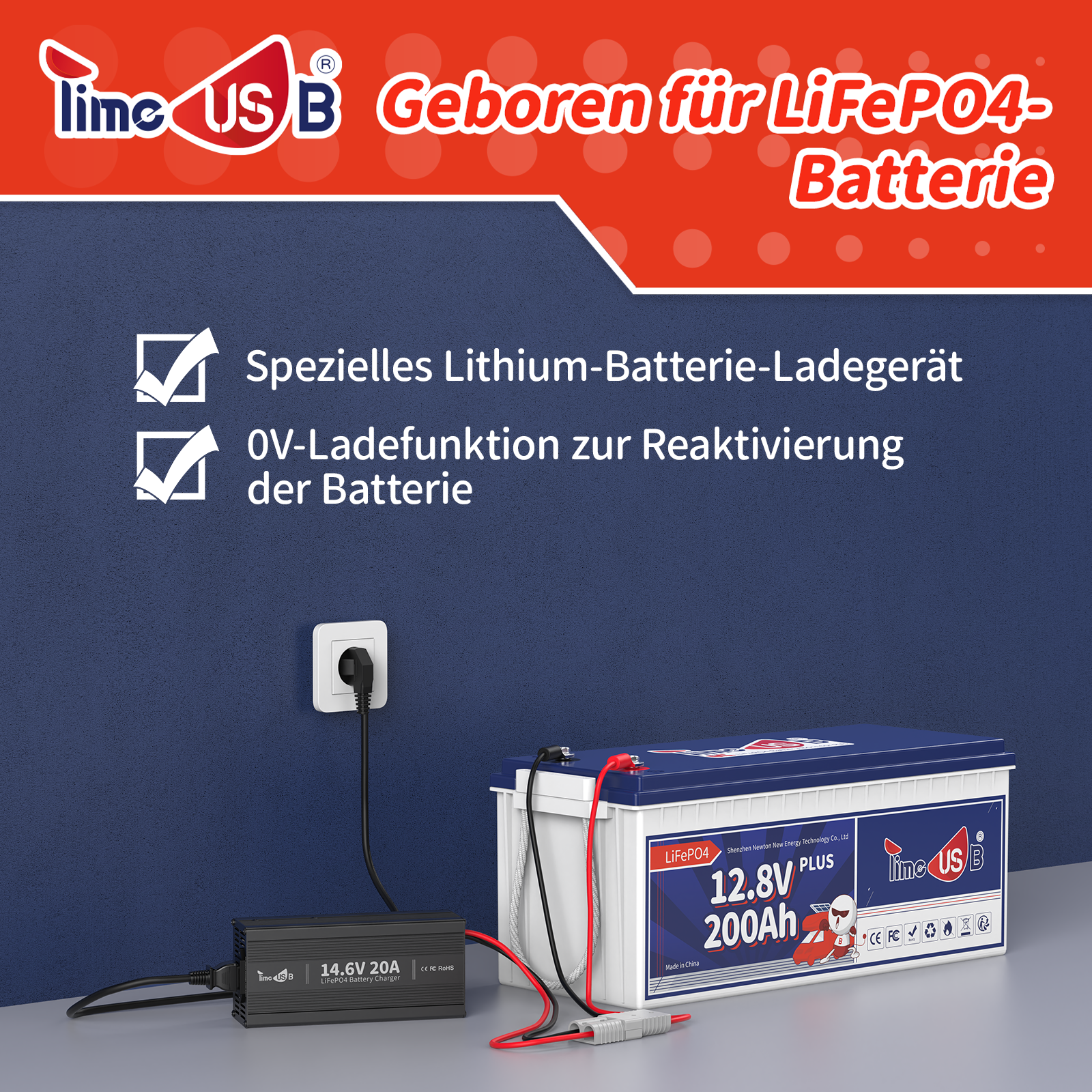 Timeusb LiFePO4 ladegerät 14,6V 20A Batterieladegerät 12V für LiFePO4 Batterie