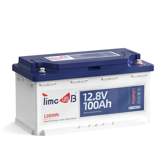 Timeusb LiFePO4 12V 100Ah Wohnmobil Batterie H190